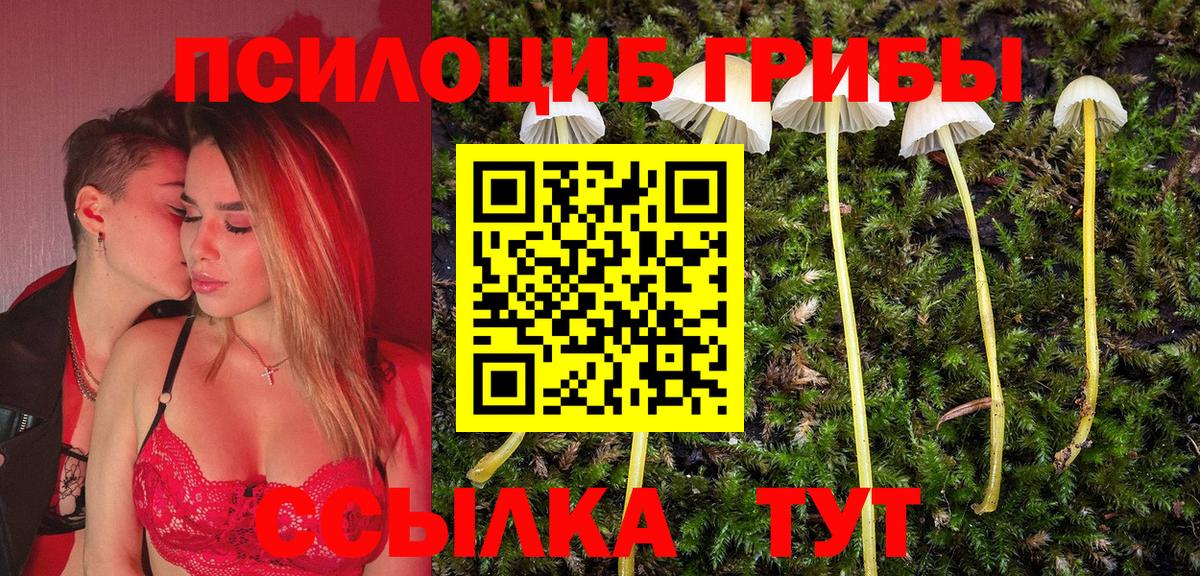 Шадринск  Галлюциногенные грибы прущие грибы  купить закладку  Вход с VPN 
